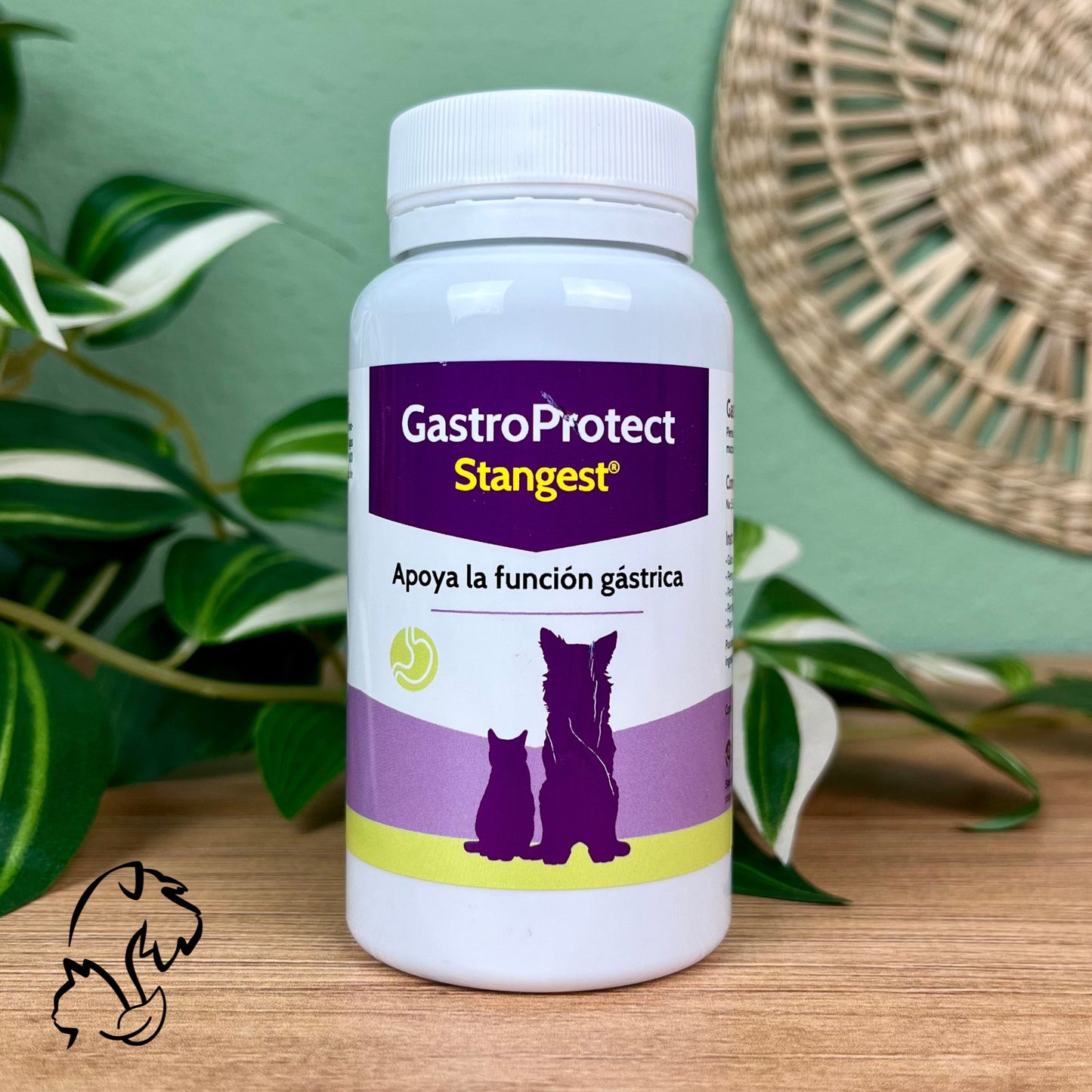 STANGEST - GASTROPROTECT - PROTECTOR GÁSTRICO PARA PERROS Y GATOS
