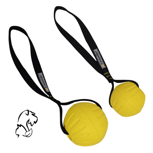 STARMARK - PELOTA DUROFOAM CON ASA PARA PERROS