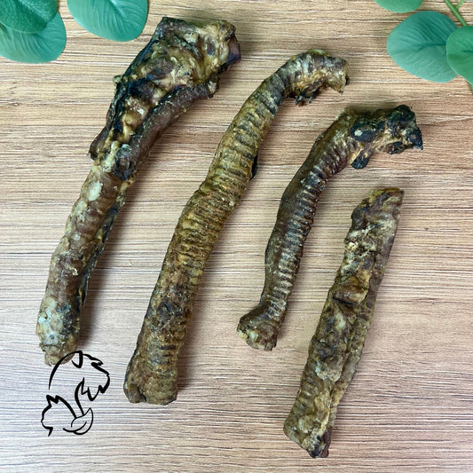 TRÁQUEA DE CORDERO PARA PERROS