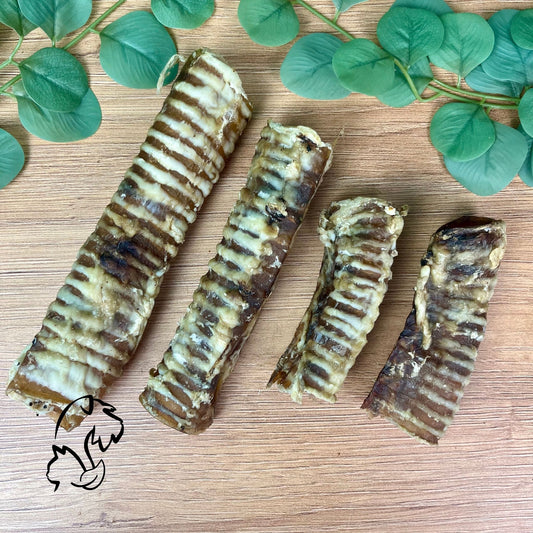 TRÁQUEA DE VACUNO PARA PERRROS