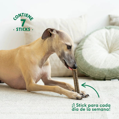 WILD BALANCE - STICKS DENTALES DE PAVO PARA PERROS